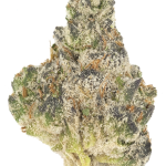Pheno 51 - High Rollas