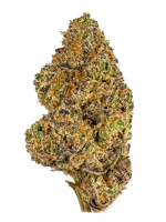 Pink Gusherz - High Rollas