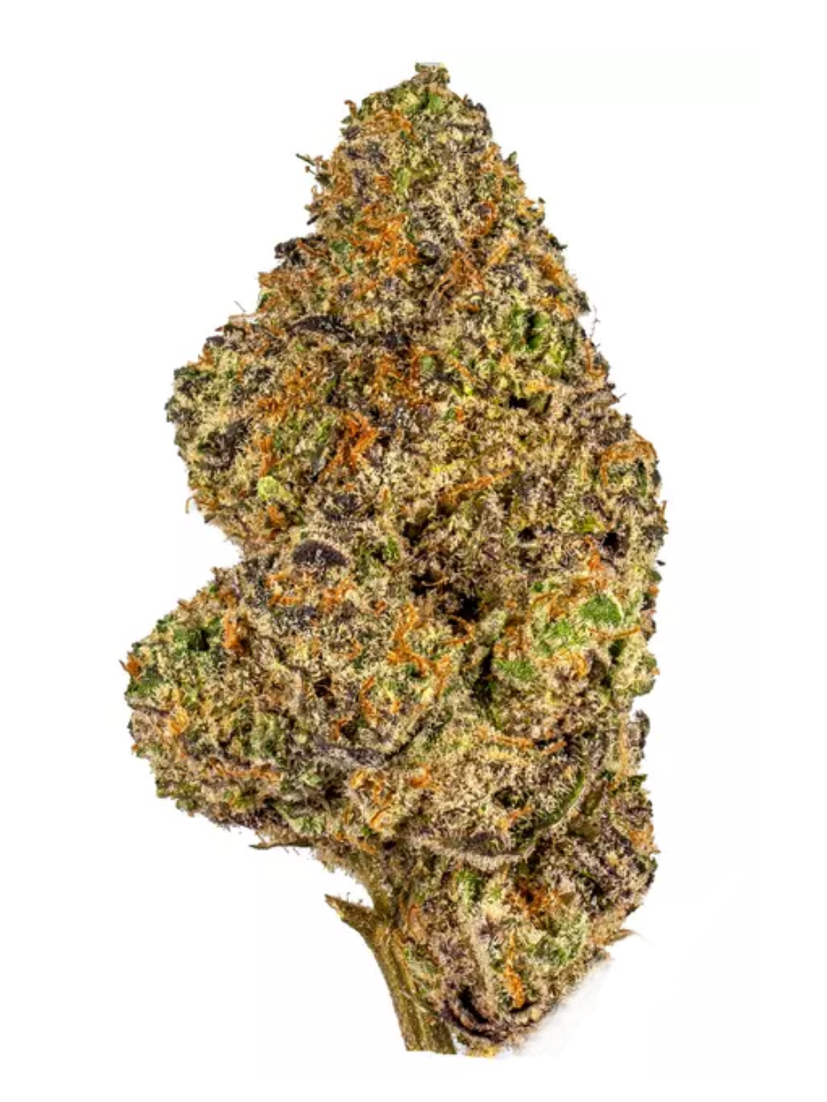 Pink Gusherz - High Rollas