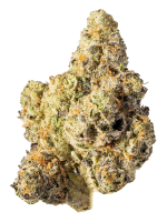Pink Lemonade - High Rollas