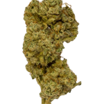 Pink Sherb - High Rollas