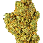 Pink Starburst - High Rollas