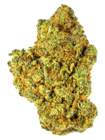 Pink Starburst - High Rollas