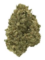 Purple Apricot - High Rollas