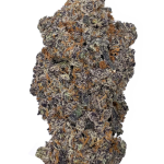 Purple Octane - High Rollas