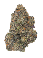 Purple Punch - High Rollas