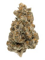RS11 - High Rollas