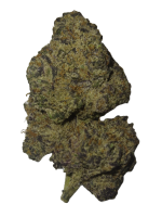 Russian Cream - High Rollas