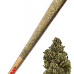 Sherb Pie - High Rollas