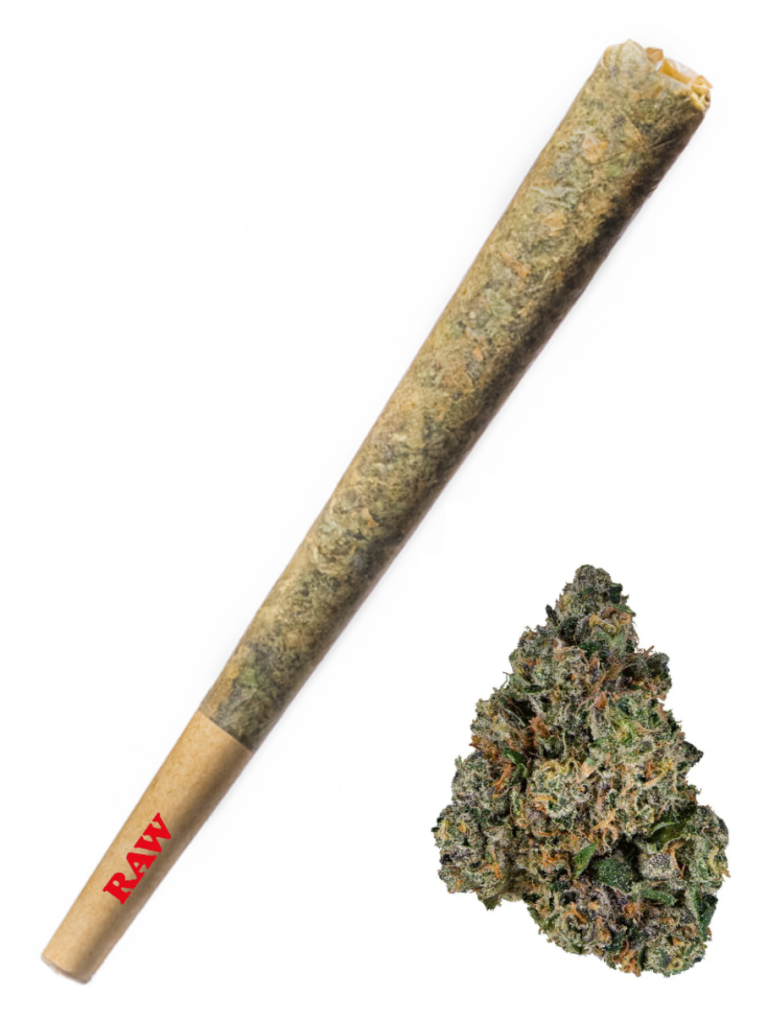 Sherbanger - High Rollas