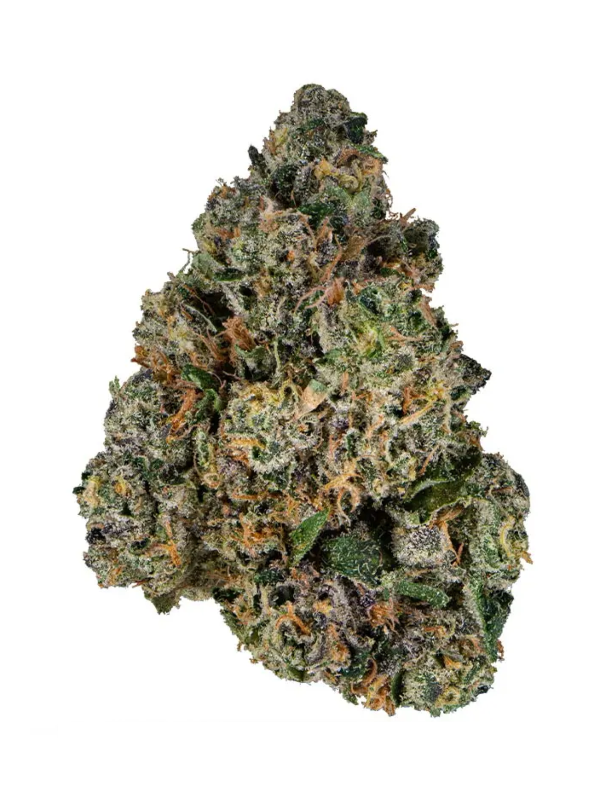 Sherbanger - High Rollas Sherbanger - High Rollas