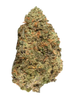 Shishkaberry - High Rollas