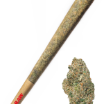 Shishkaberry - High Rollas
