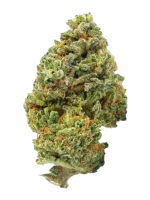 Skittlez - High Rollas