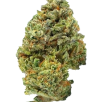 Skittlez - High Rollas