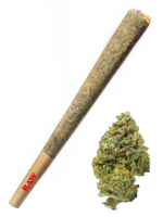 Skittlez - High Rollas