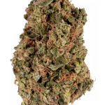 Space Cake - High Rollas