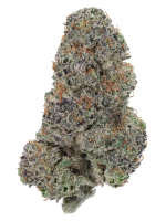 Strawberry Cough - High Rollas