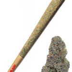 Strawberry Cough - High Rollas
