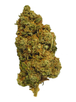 Super Lemon Haze - High Rollas