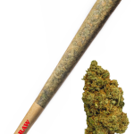 Super Lemon Haze - High Rollas