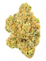 Super Silver Haze - High Rollas