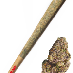 Superboof - High Rollas