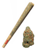 Sweet Tooth - High Rollas