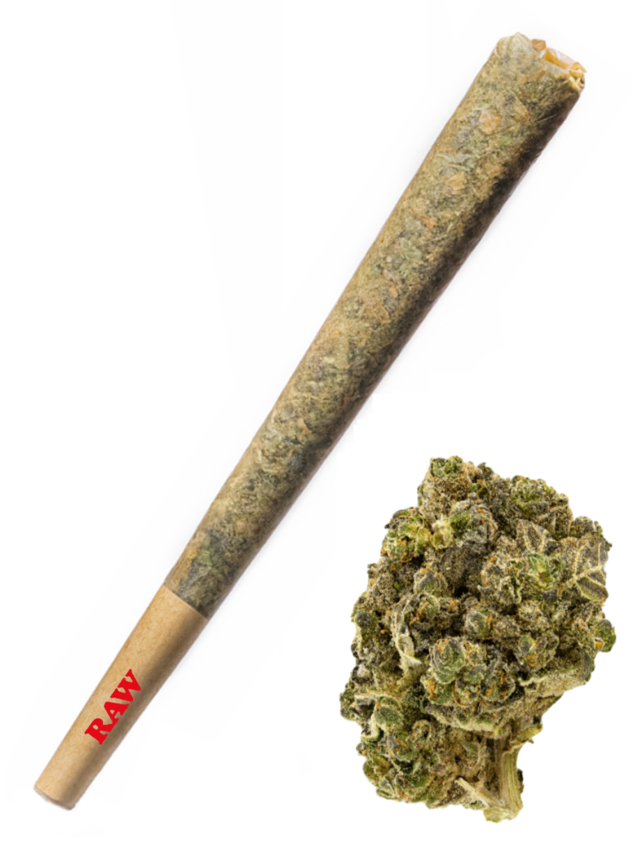 Thin Mint Cookies - High Rollas