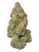 Trainwreck - High Rollas