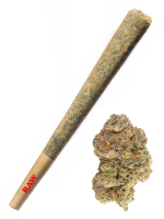 Tropical Thunder - High Rollas