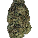 Tropicana Cookies - High Rollas